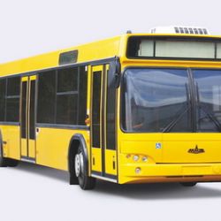 В Гомеле женщина сломала ногу в автобусе