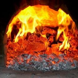 В Кировской области чиновница сожгла в топке щенка для устрашения подчиненных