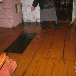 Талые воды затопили дома жителей Петрикова
